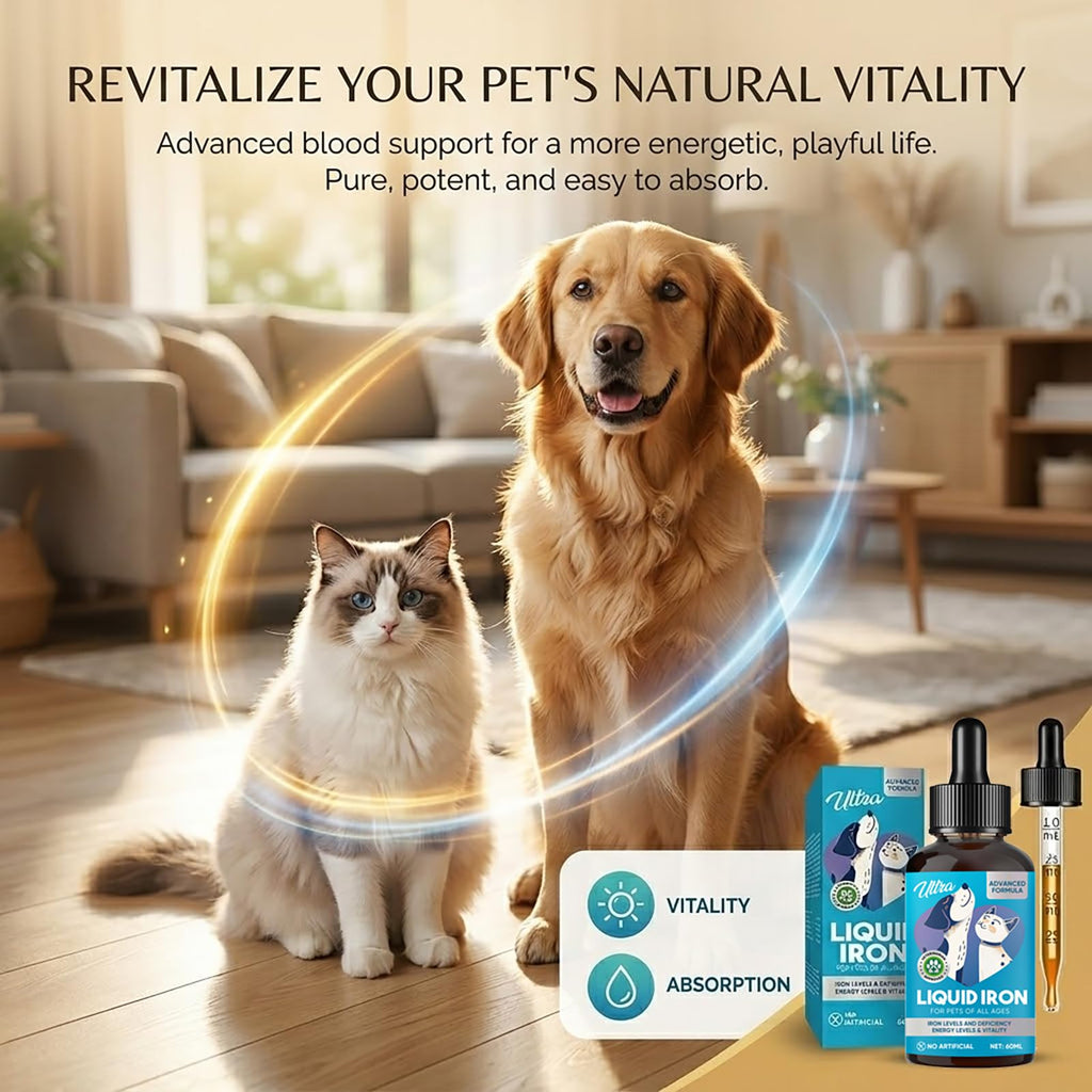 Iron Supplement for Cats and Dogs, 2 Fl Oz Liquid Iron Drops with Vitamin B12 & C, Supports Healthy Blood Levels, Energy and Vitality, Immune Support for Pets Needing Blood Health, Quick Absorption
