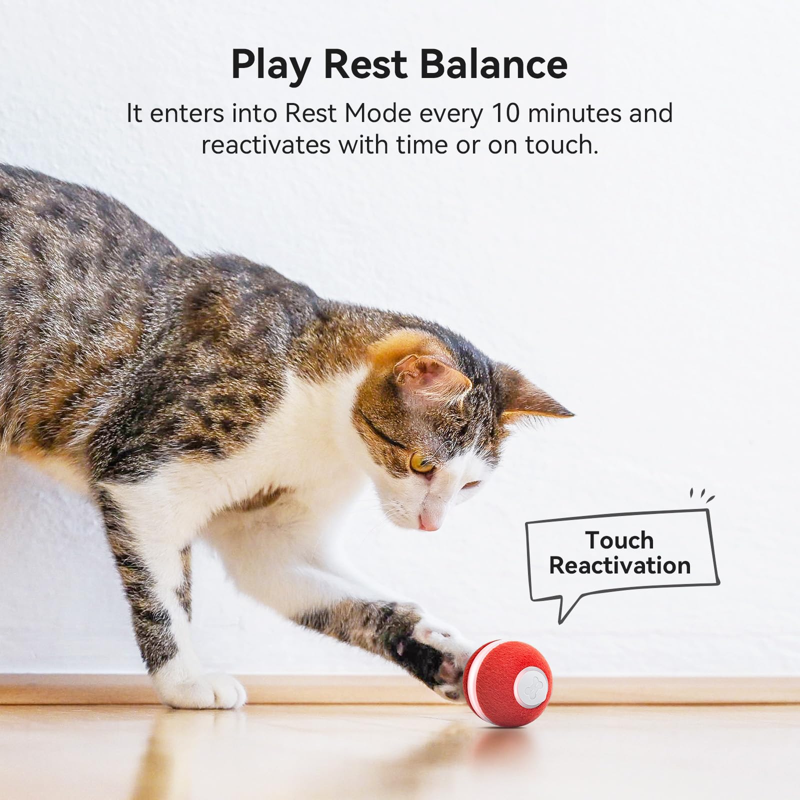 Cheerble Smart Interactive Cat Toy, Automatic Moving Bouncing Rolling Ball for Indoor Cat Kitten, Peppy Pet Ball with Lights and Bell, Grey