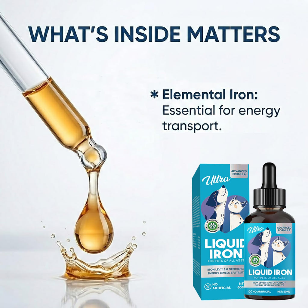 Iron Supplement for Cats and Dogs, 2 Fl Oz Liquid Iron Drops with Vitamin B12 & C, Supports Healthy Blood Levels, Energy and Vitality, Immune Support for Pets Needing Blood Health, Quick Absorption