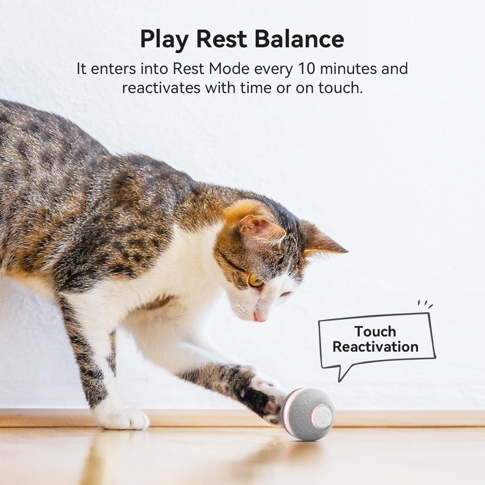 Cheerble Smart Interactive Cat Toy, Automatic Moving Bouncing Rolling Ball for Indoor Cat Kitten, Peppy Pet Ball with Lights and Bell, Grey