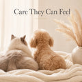 Universal Pet Detangling Brush, Massages Out Knots & Mats. 19cm, for Long/Short Hair, Soothing