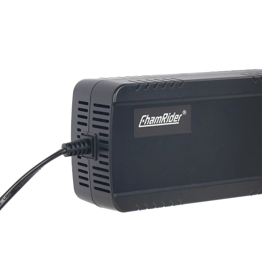 Ebike Lithium Battery Charger 3 Pins Plug 36V 42V 48V 54.6V 52V 58.8V Battery Pack Charger for Electric Bike Battery EURO