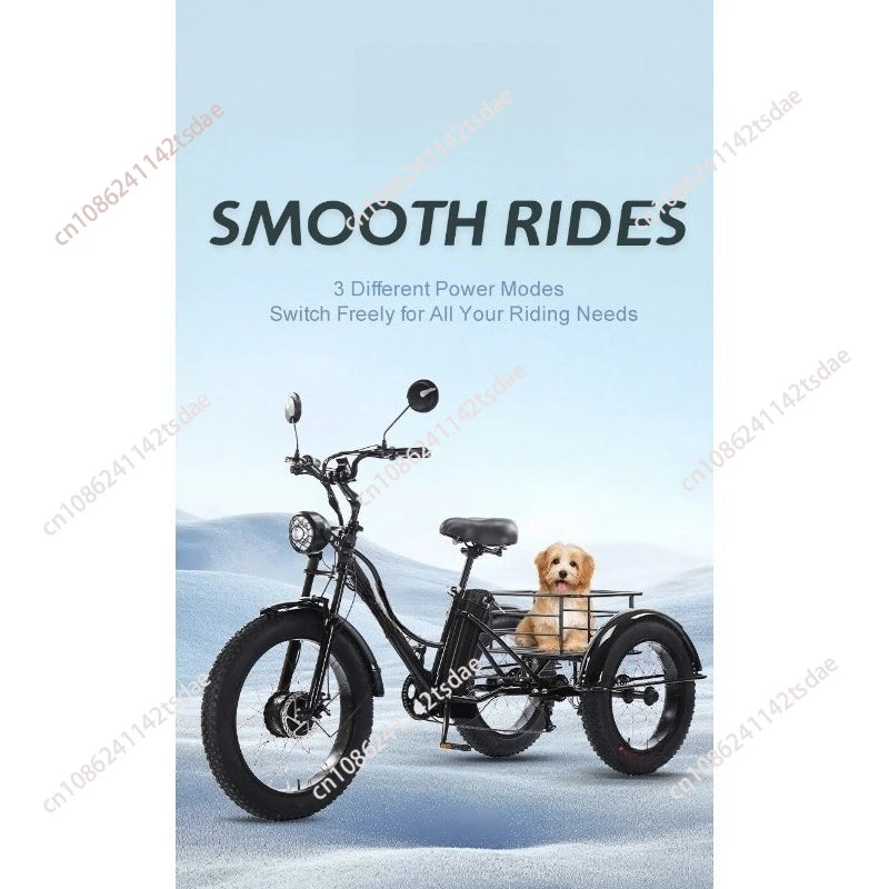 750w 3 Wheels Mountain Electric Bike With Two Seat For Elderly 48V Removable Battery Electric Tricycle Adults Off Road For Man