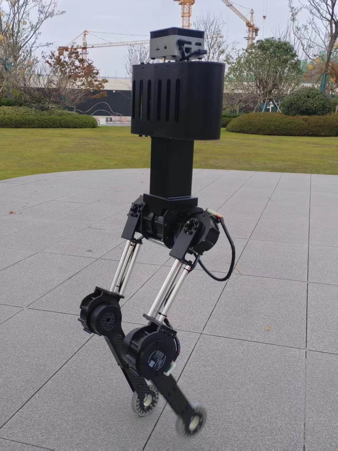 Biped humanoid robot AI intelligent machine robot dog reinforcement learning training