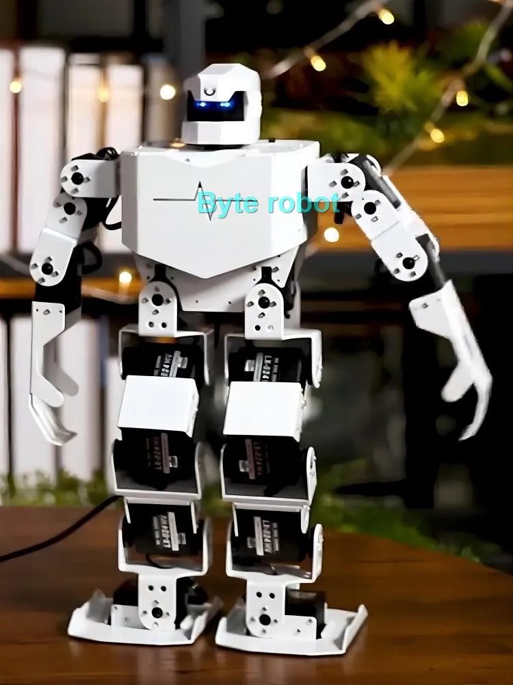 16 DOF Humanoid Robot Assembled RoboSoul H5S Programmable Robot Kit Education Walking Singing Dancing Robot Entertainment Robot
