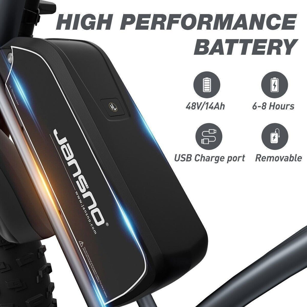 20" Electric Bike 750W 48V Removable Battery 14Ah Motorcycle Fat Tire E-bike US