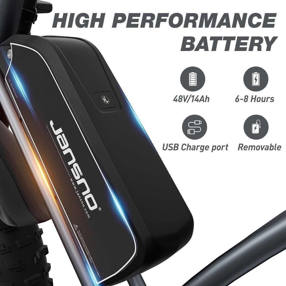 20" Electric Bike 750W 48V Removable Battery 14Ah Motorcycle Fat Tire E-bike US