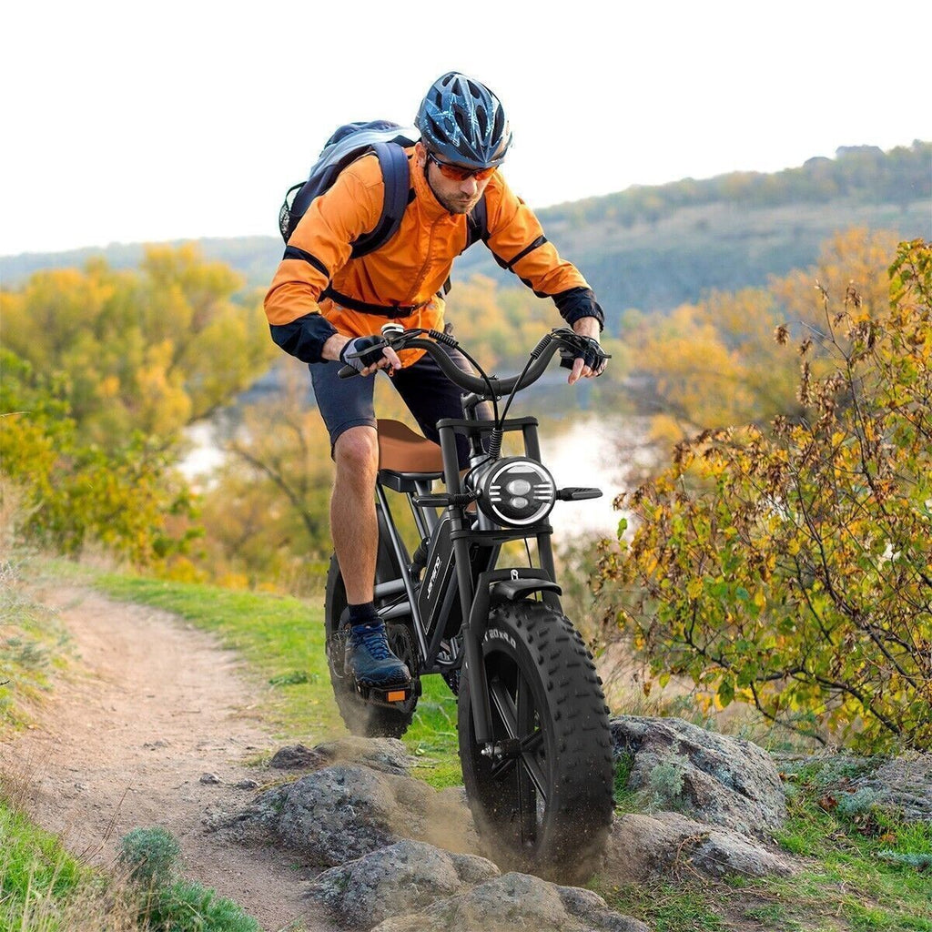 20" Electric Bike 750W 48V Removable Battery 14Ah Motorcycle Fat Tire E-bike US