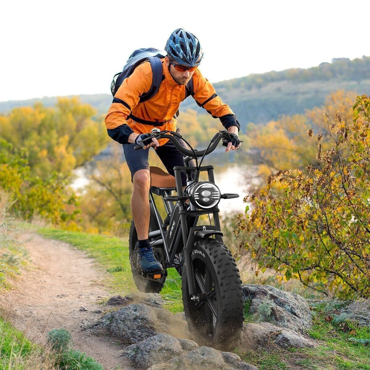 20" Electric Bike 750W 48V Removable Battery 14Ah Motorcycle Fat Tire E-bike US