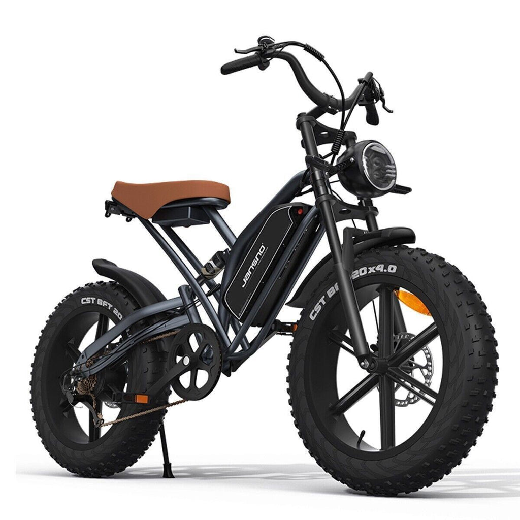 20" Electric Bike 750W 48V Removable Battery 14Ah Motorcycle Fat Tire E-bike US