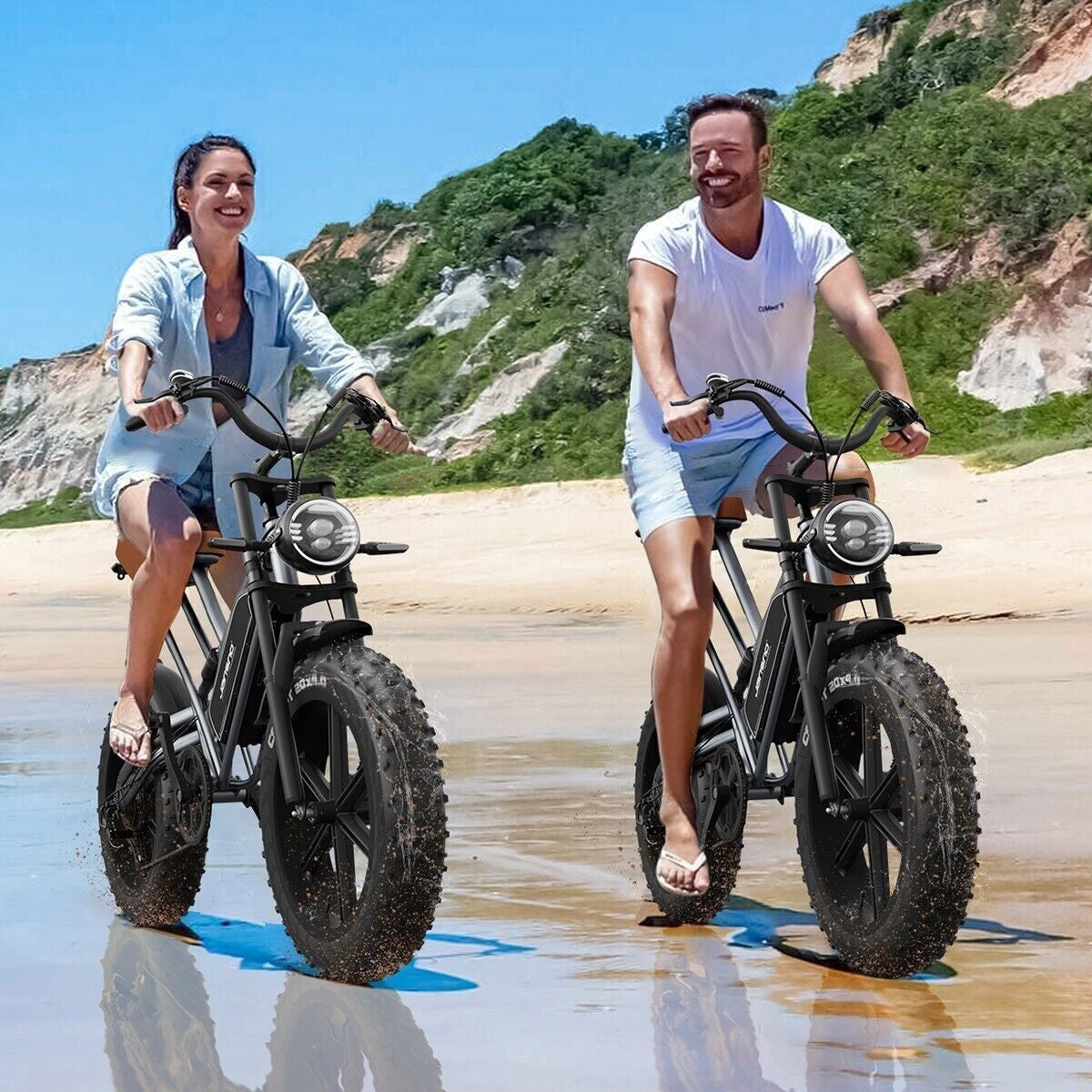 20" Electric Bike 750W 48V Removable Battery 14Ah Motorcycle Fat Tire E-bike US