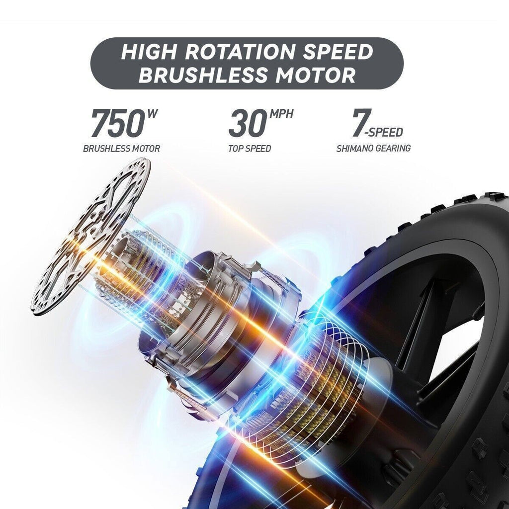 20" Electric Bike 750W 48V Removable Battery 14Ah Motorcycle Fat Tire E-bike US