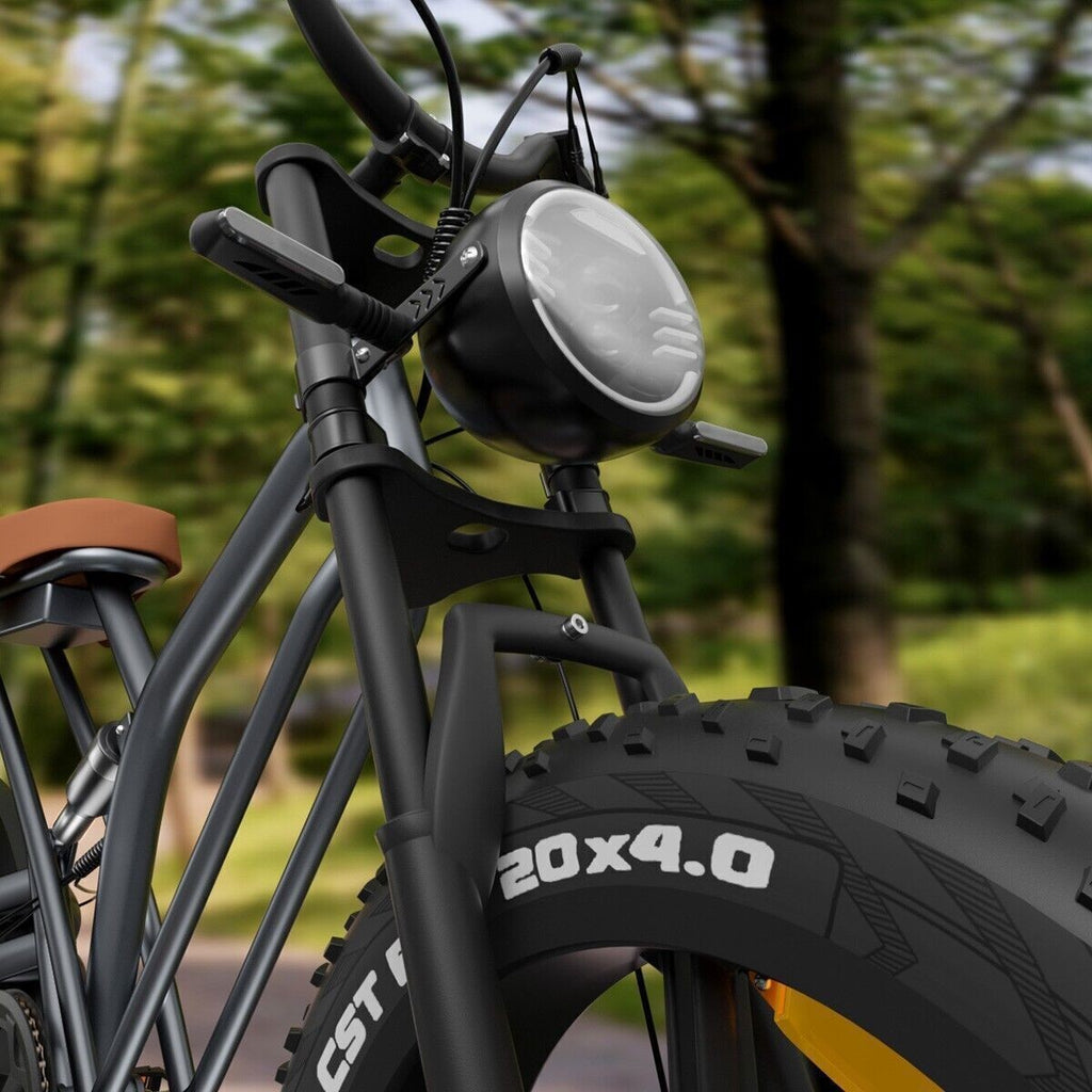 20" Electric Bike 750W 48V Removable Battery 14Ah Motorcycle Fat Tire E-bike US