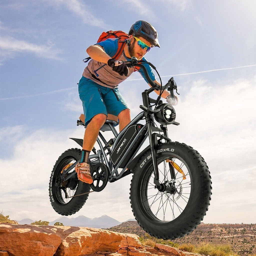 20" Electric Bike 750W 48V Removable Battery 14Ah Motorcycle Fat Tire E-bike US